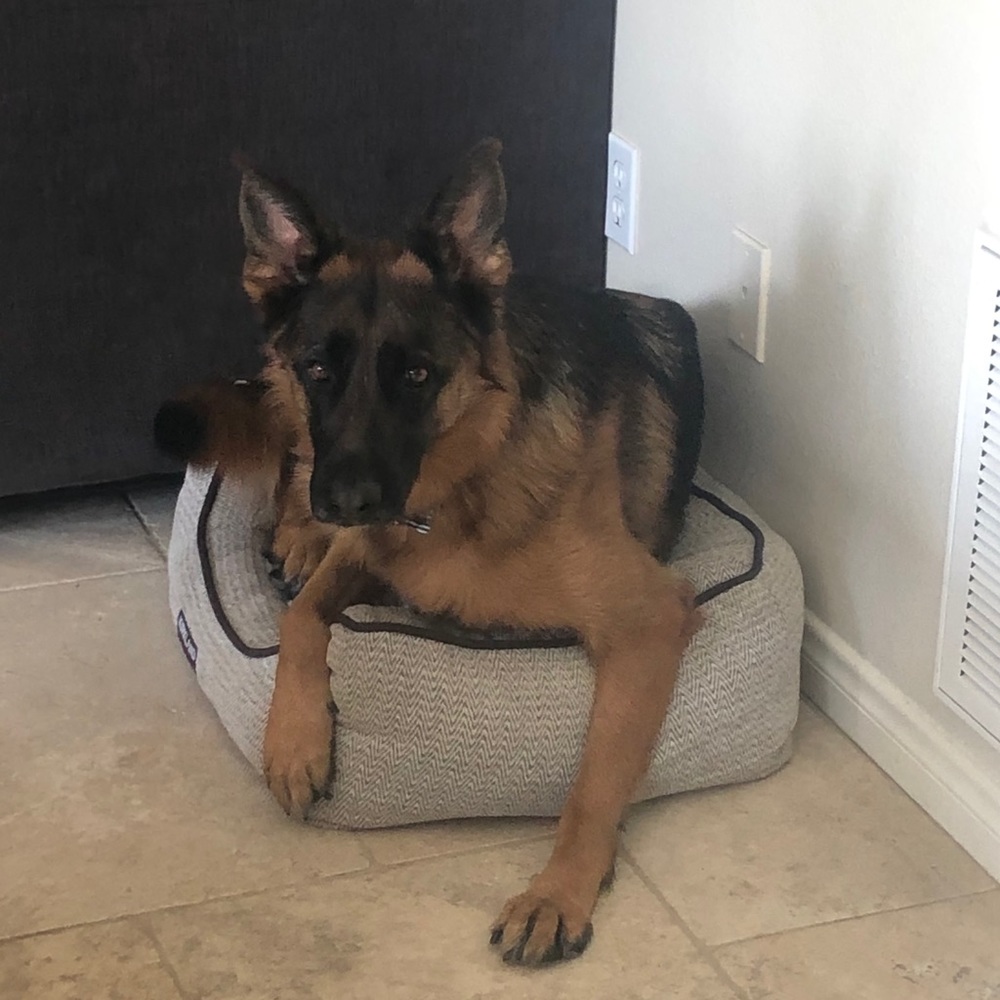 Meet your Posher, Melodie